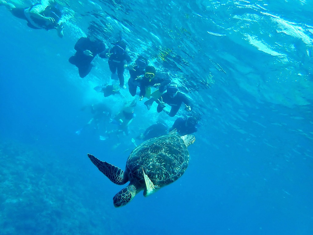 Dep from Naha/Kerama/1Day: Snorkeling with Sea Turtles + Marine Sport (1 Item) + Snorkeling + Desert Island