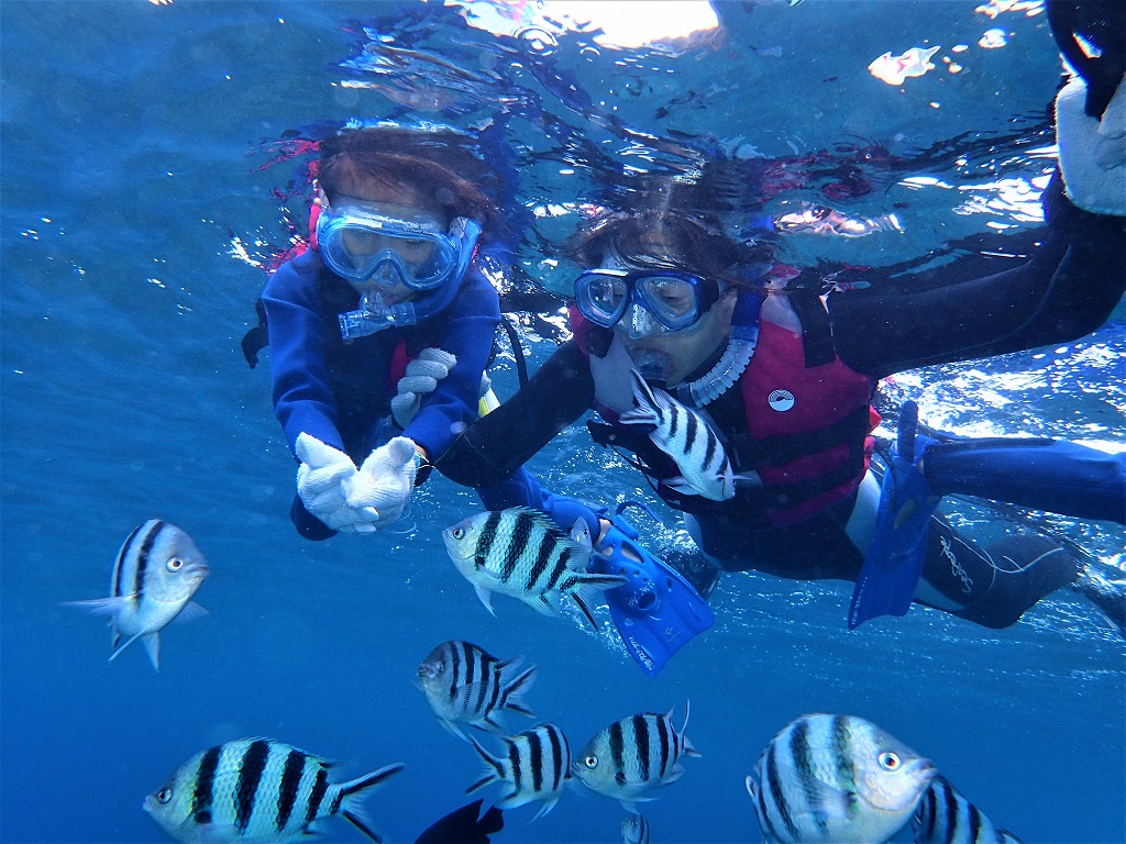 【Chatan-Okinawa】　Welcome beginners and those who can't swim! Boat snorkeling (Applicable for ages 5 and over) 【08:30】【10:30】