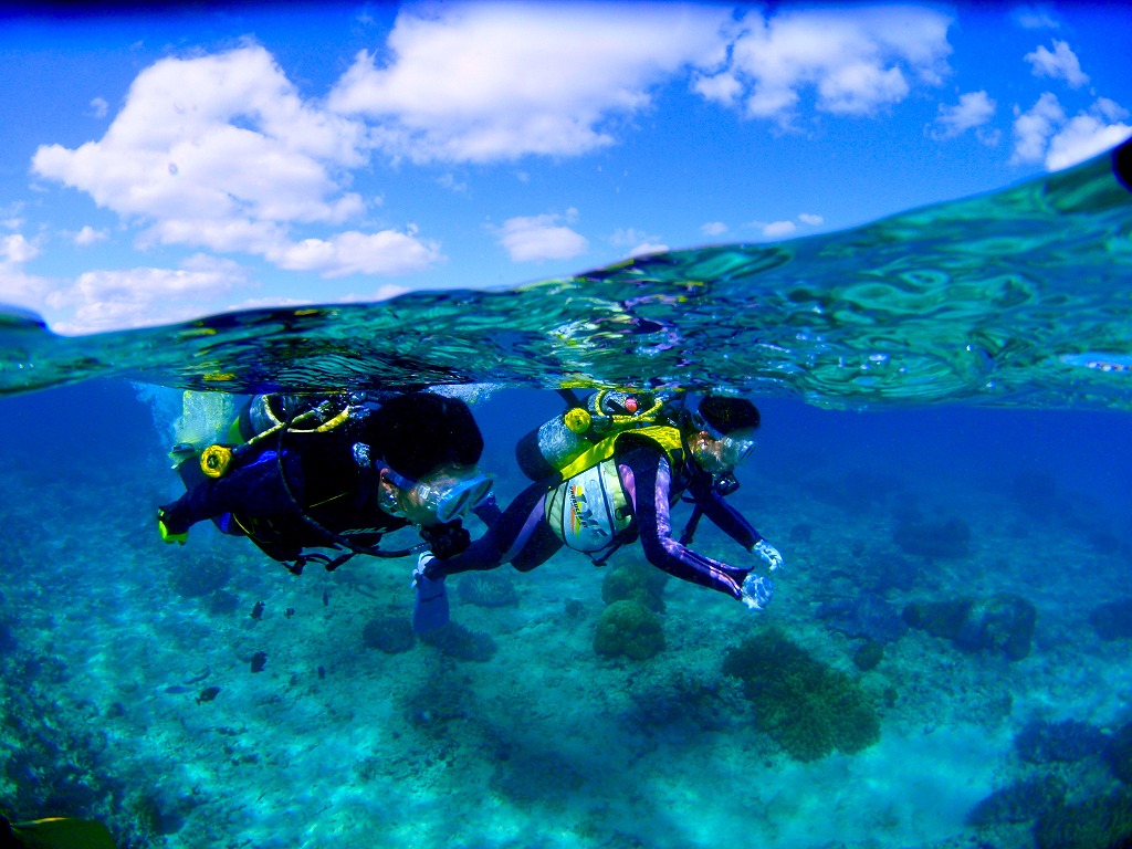 【Okinawa・Onna-son Area】 Takes minimal 5 minutes by boat. Boat Fun Diving 2 dives (Morning time)