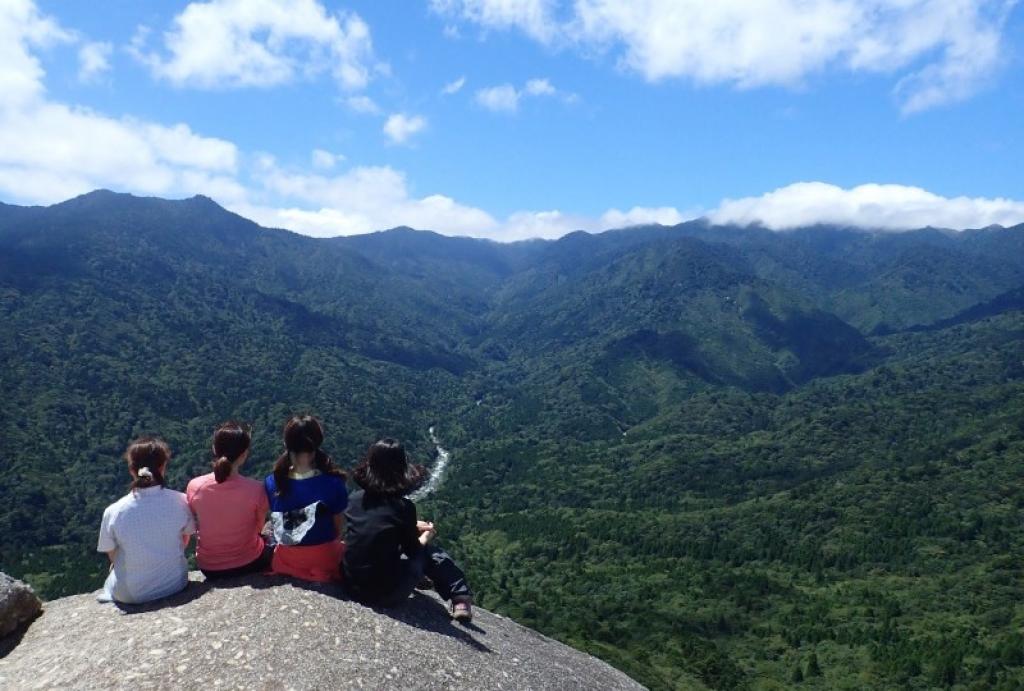 【With your charter guide】 From going through the moss forests to the great view of the sky! Shiratani Unsuikyo Ravine trekking with Yakushima ingredients special lunch.