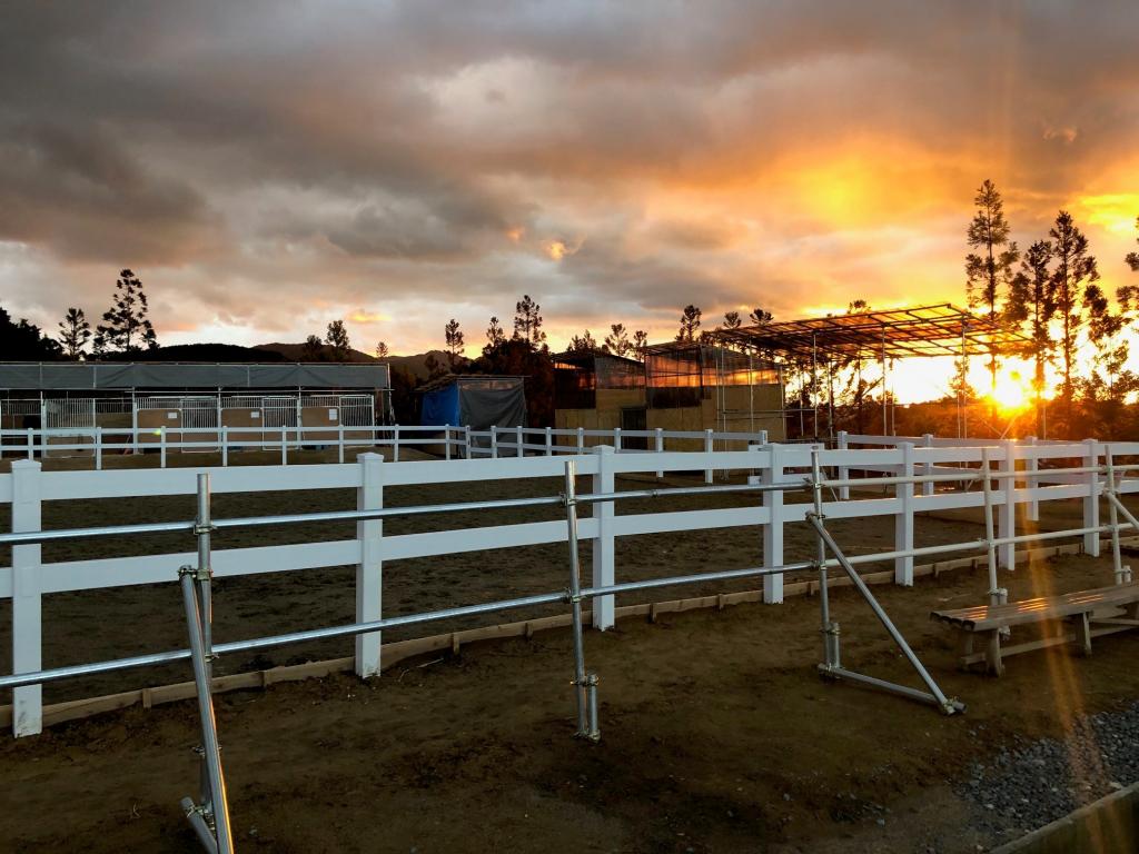 Ranch you can interact with horses